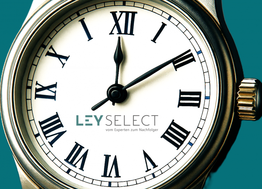 Leistung lohnt sich (noch?) – Ein Zwischenruf aus dem Mittelstand